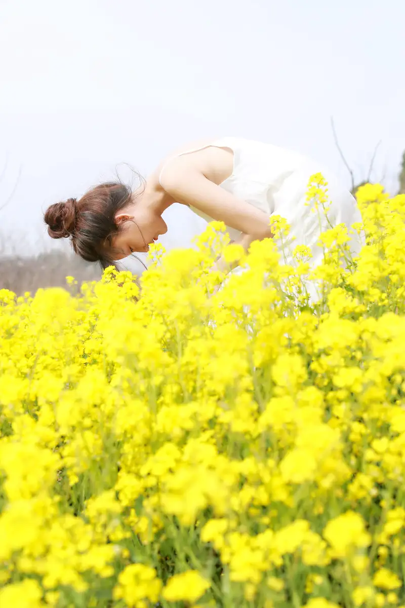 用python抢火车票怎么实现